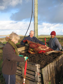 Compost - Natural Nutrient Cycling