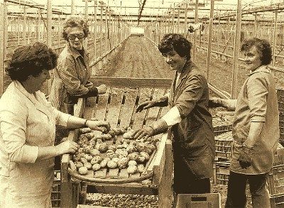 History of Cill Ulta