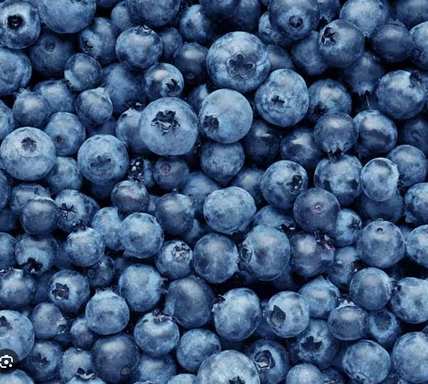 Blueberries - introductory price
