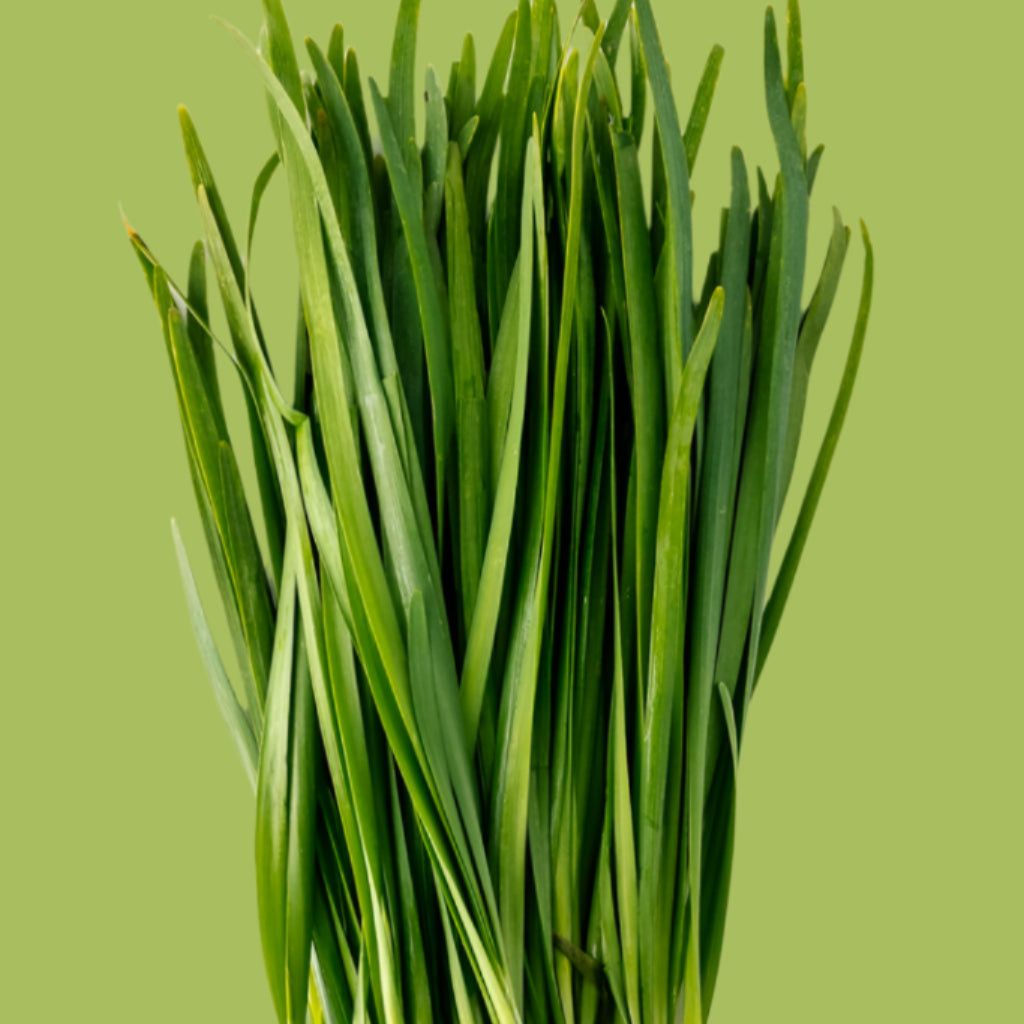 Garlic Chives - 100g
