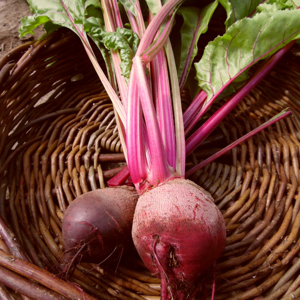 Beetroot - 500g