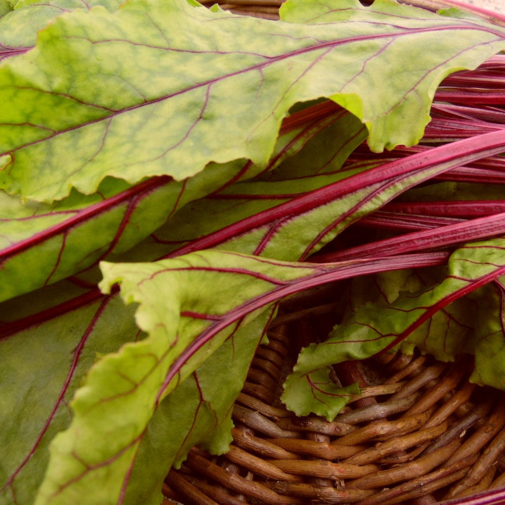 Beetroot Leaves - 1kg