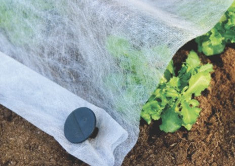 Frost Protection Fleece (1.5 m x 3m)