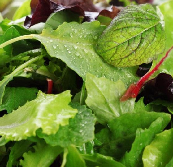 Mixed Leaves - Vegetable Plant - 6pk