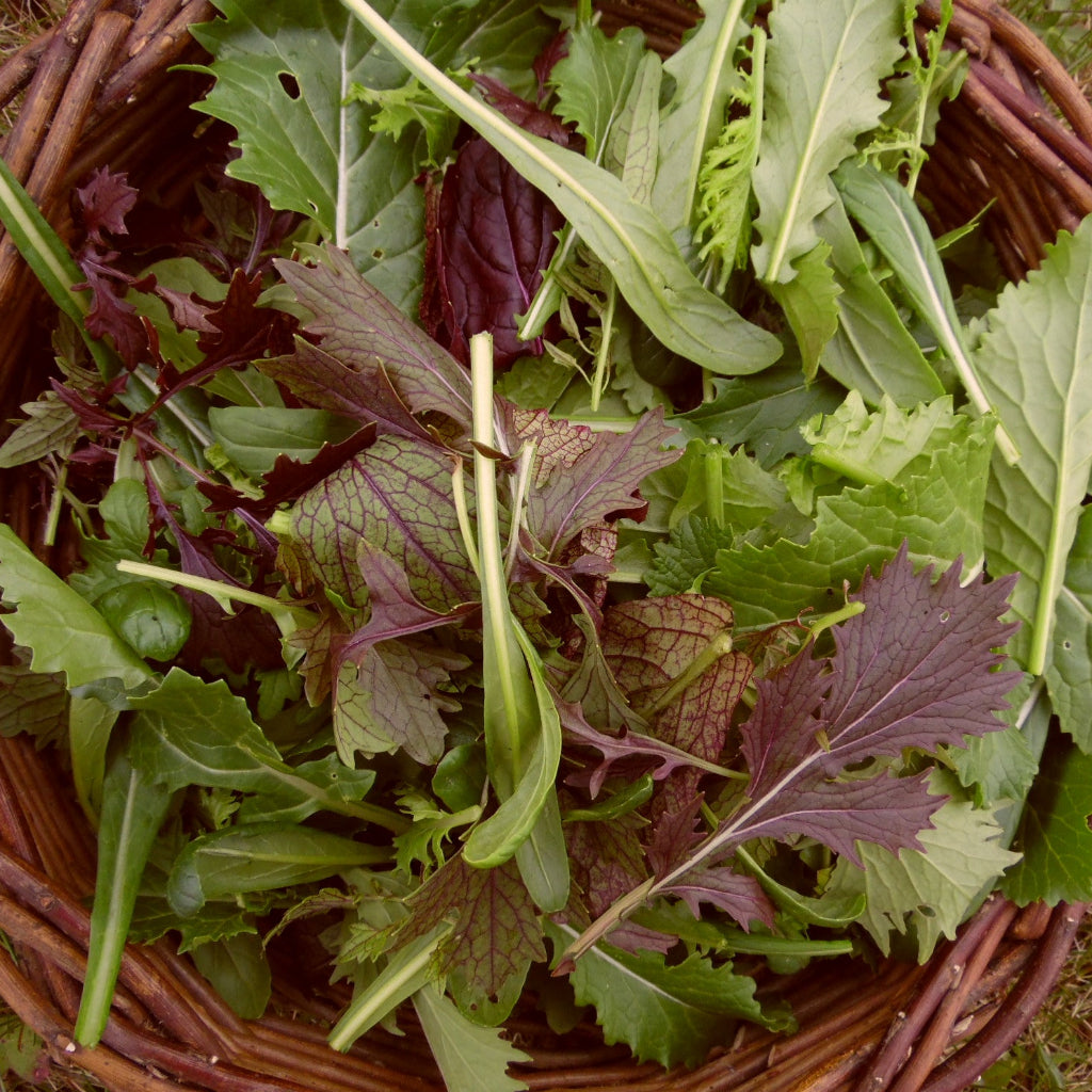 Mixed Leaves - 100 g