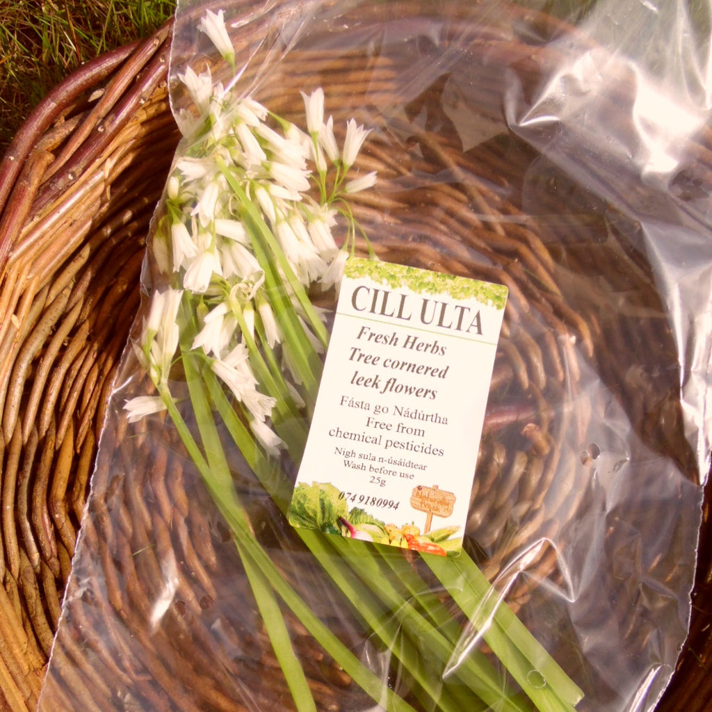 Three-Cornered Leek Flower - 100g