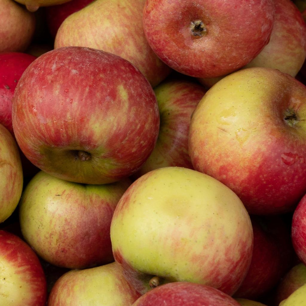 Cooking Apples - 10kg