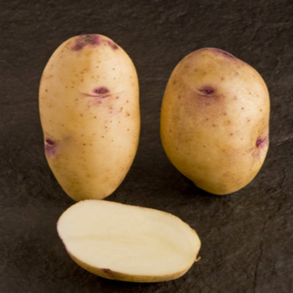 Práta Síl Catriona (2ú E) - 2 kg