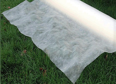 Frost Protection Fleece (1.5 m x 3m)