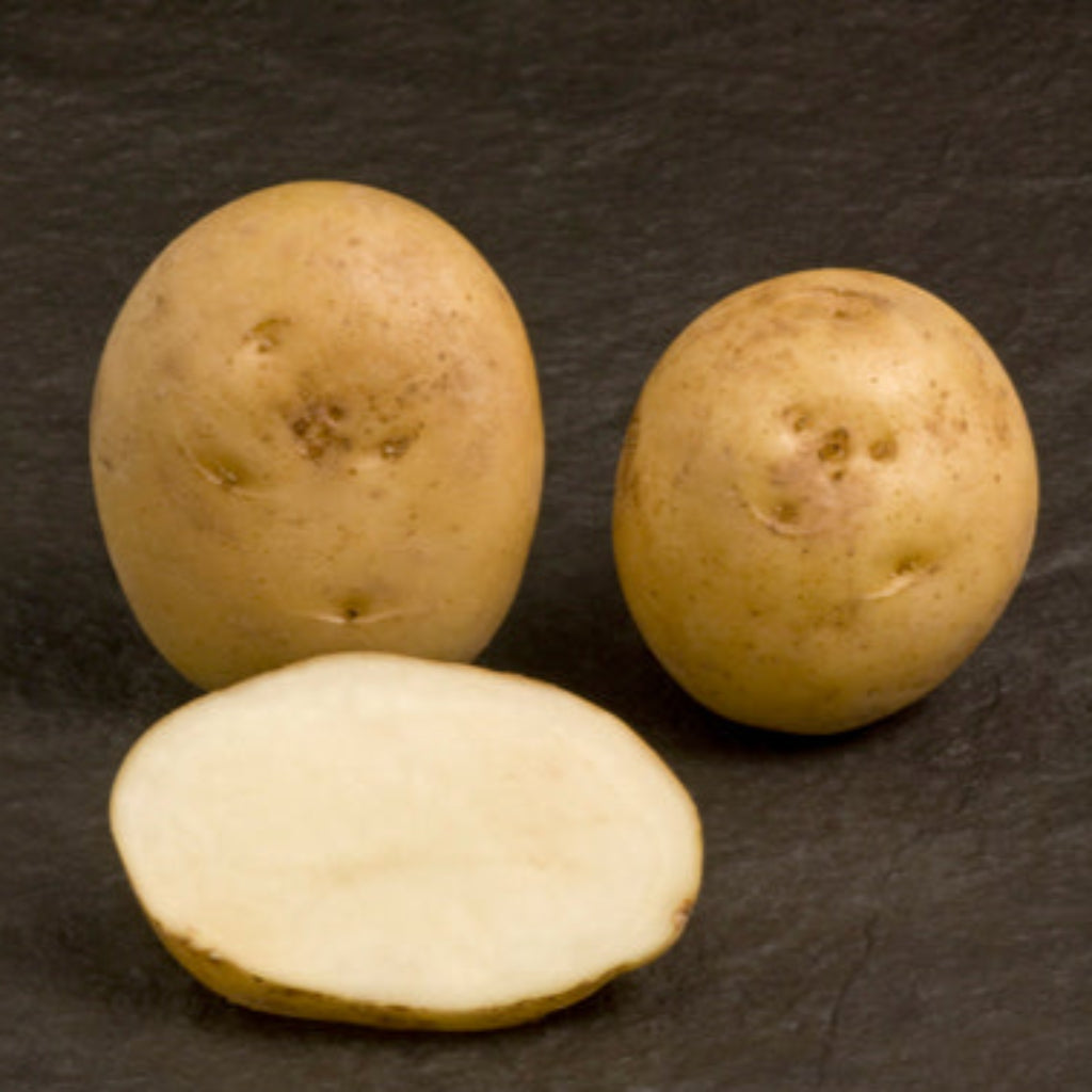 Práta Síl an Gharda Baile (1ú E) - 2 kg