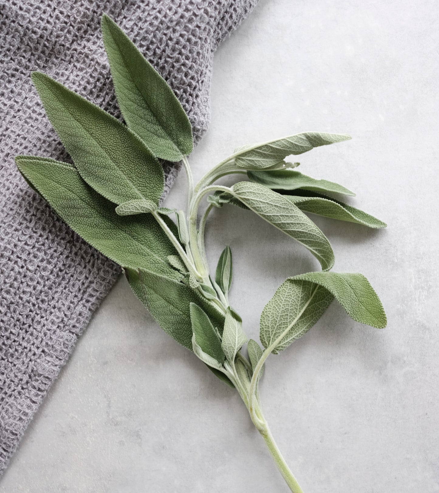 Sage - 100g