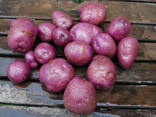 Load image into Gallery viewer, Arran &#39;Victory&#39; - Seed Potato (EMC) - 2kg
