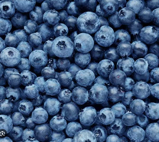 Blueberries - introductory price