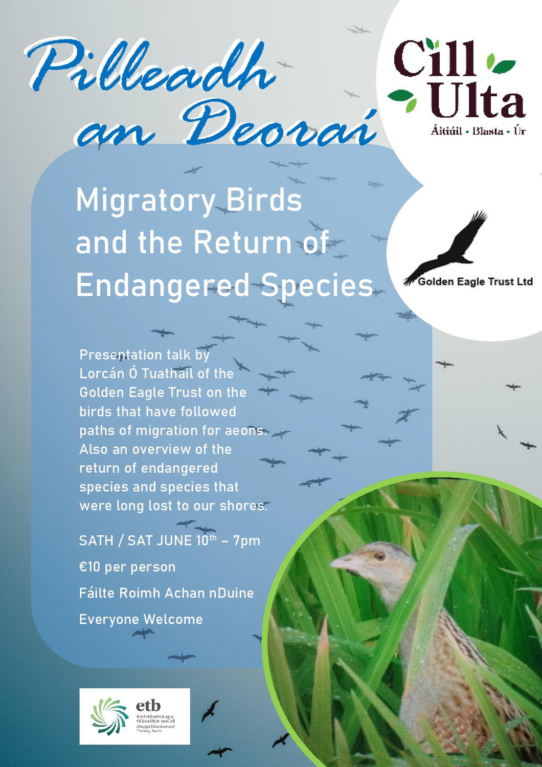 Pilleadh an Deoraí - Migratory Birds and the Return of Endangered Species Session