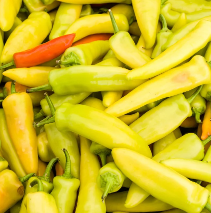 Jalapeno Luath Piobar - Gléasra Glasraí - pota 9cm