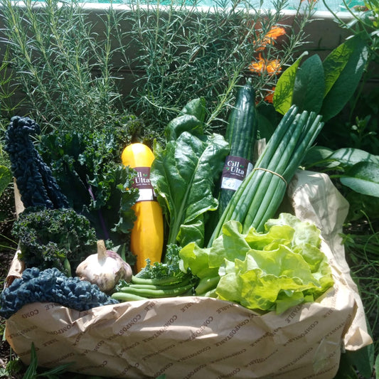 Seasonal Box - Bosca séasúrach