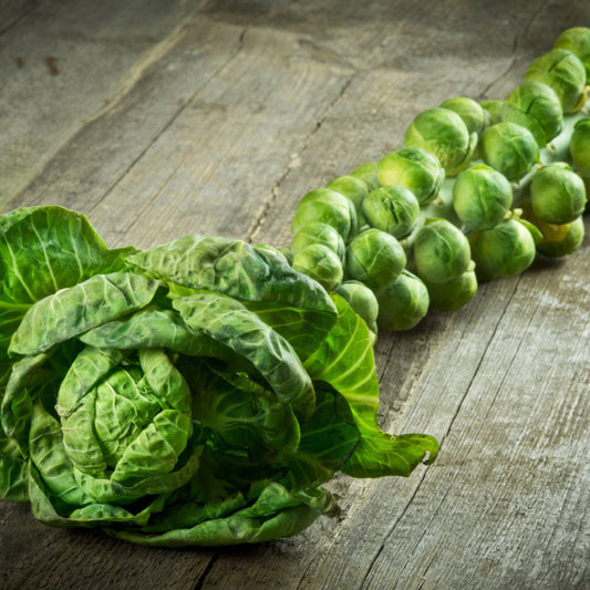 Brussel Sprouts Trafalgar - 1 kg