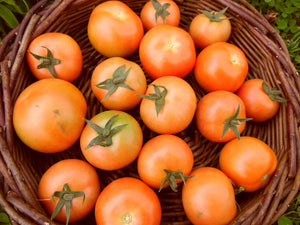 Tomatoes - 1kg -SPECIAL OFFER