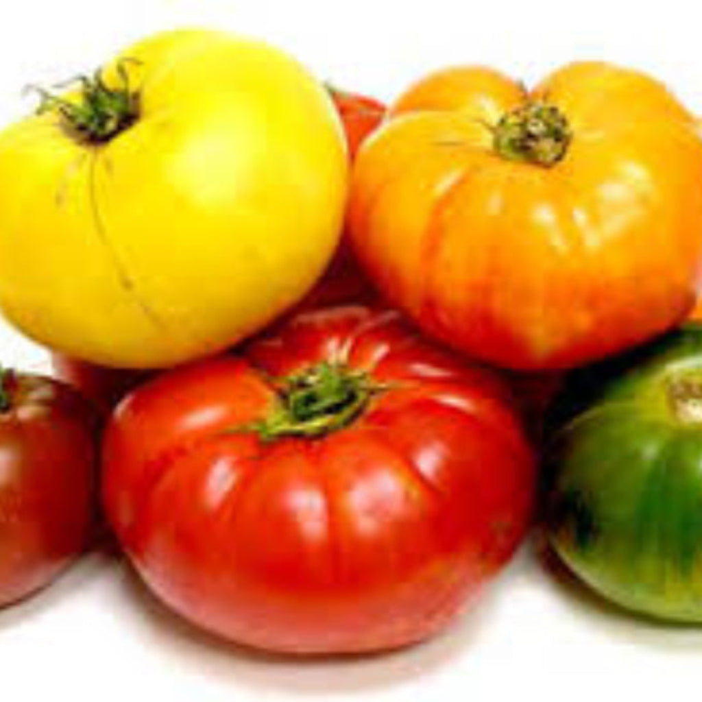 Tomatoes - Heritage 1kg - Restaurants 2026