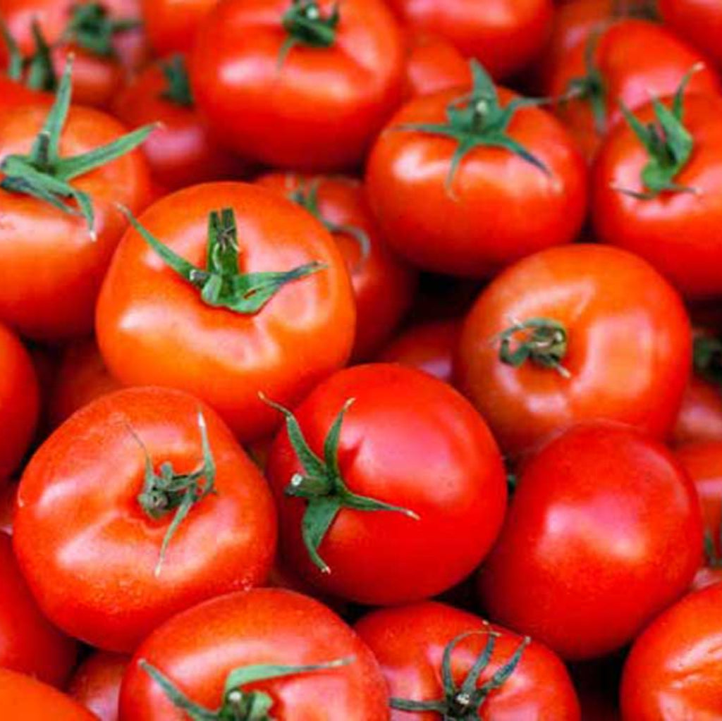 Tomatoes Vine Salad - 1kg - Restaurants 2026