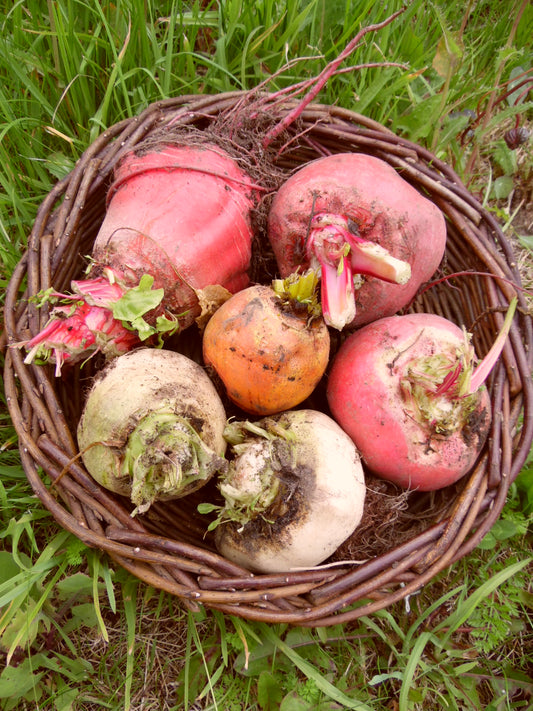 Beetroot Pablo - Mixed - 1kg