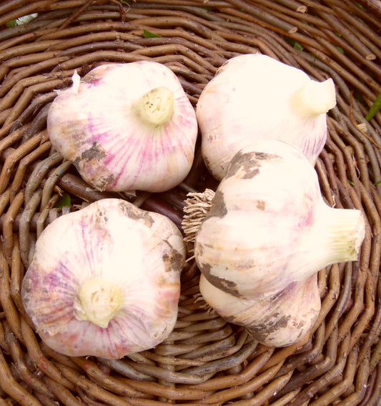 Garlic Vallelado - 150g