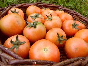 Tomatoes - 400g - SPECIAL OFFER