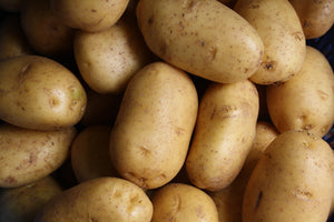 May Queen Seed Potato (2nd E) - 25 kg